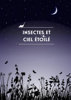 insectes