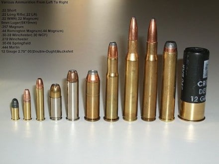 image_munitions_codexal1