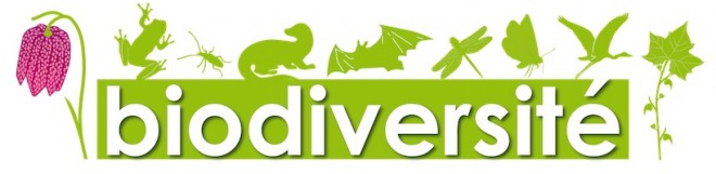 biodiversite