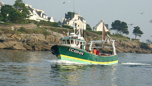 concarneau_peche