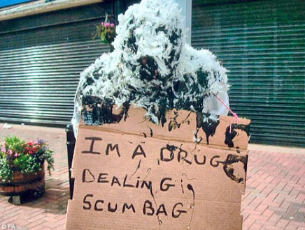 dealer_IRA