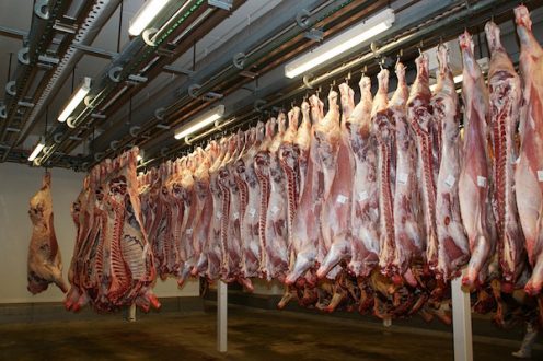 abattoir_coordination_rurale