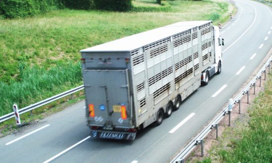 transport_animaux