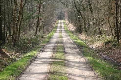 Sentier_de_la_foret_de_Loudéac