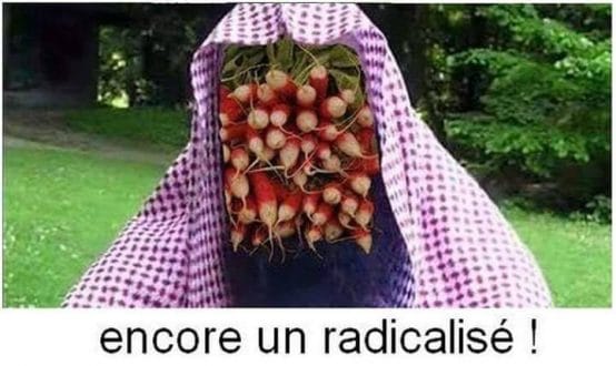 radicalisation