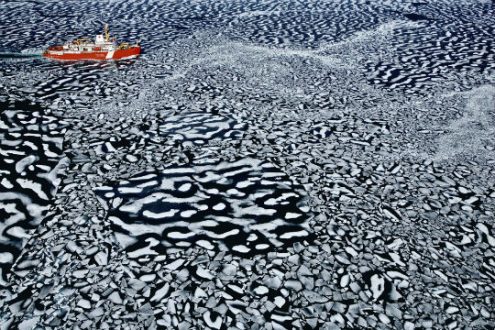 yann_arthus_bertrand