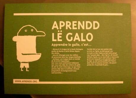 gallo1