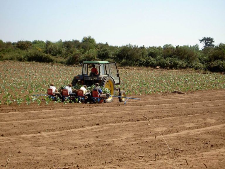 agriculteurs