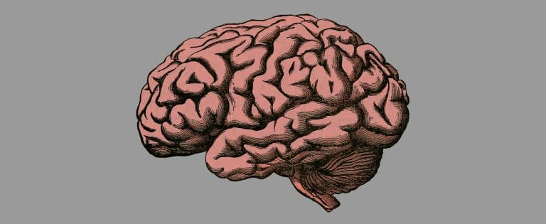 Intelligence artificielle Cerveau