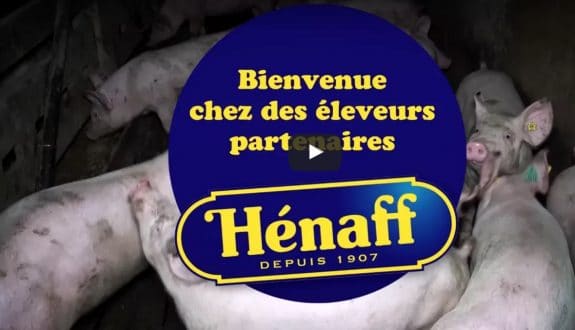 henaff