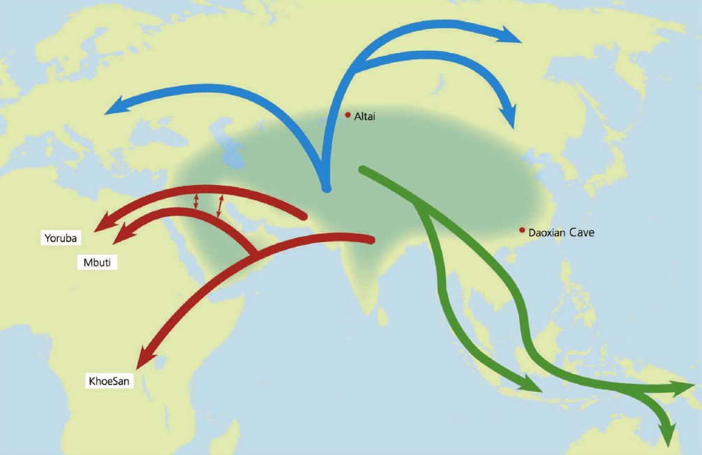 Úlfur Árnason Out of Africa Homo sapiens sapiens