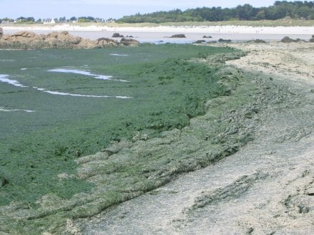 Baie de Saint-Brieuc