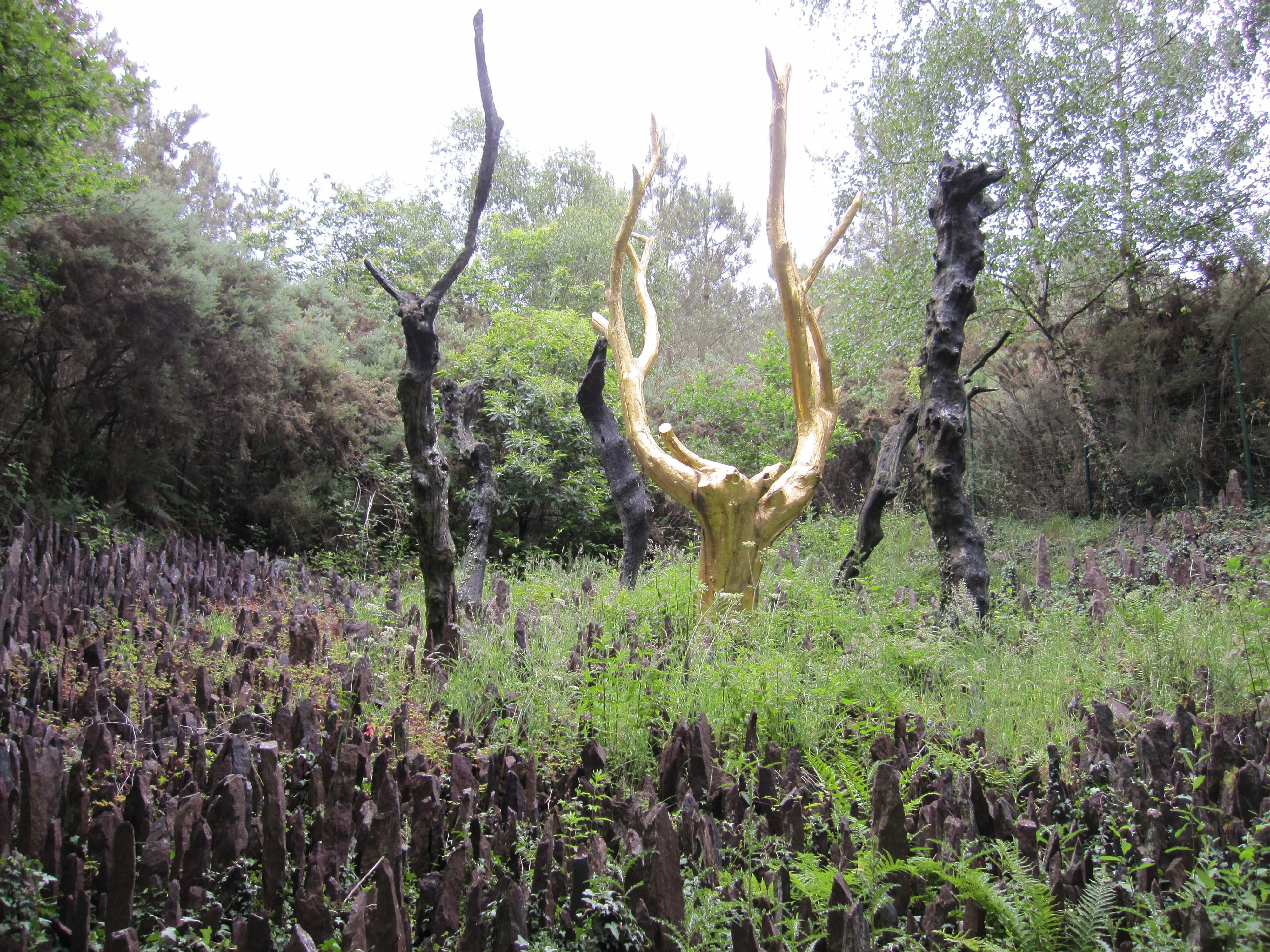 Brocéliande Tourisme Ille-et-Vilaine