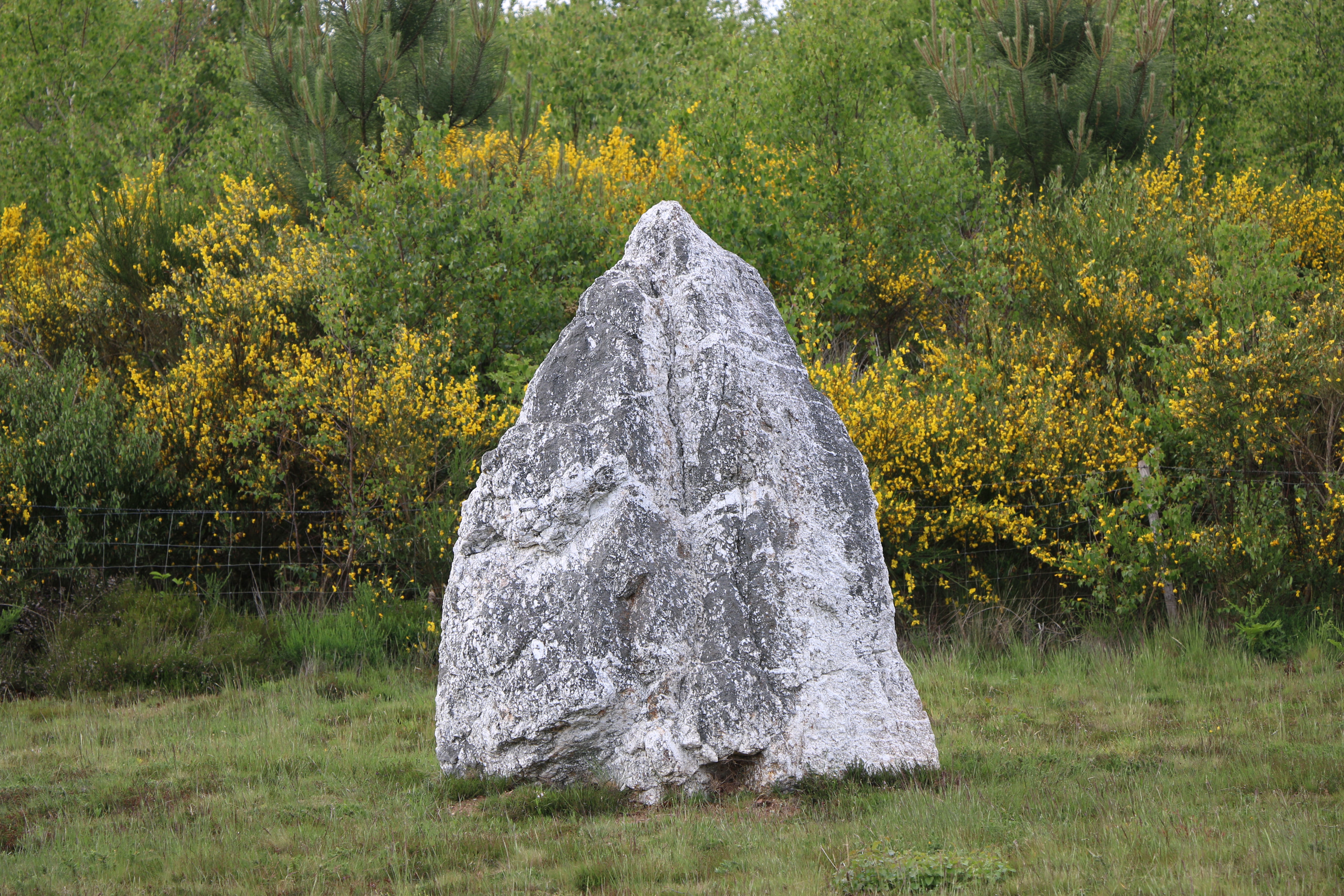 Saint-Juste Landes de Cojoux Tourisme Ille-et-Vilaine