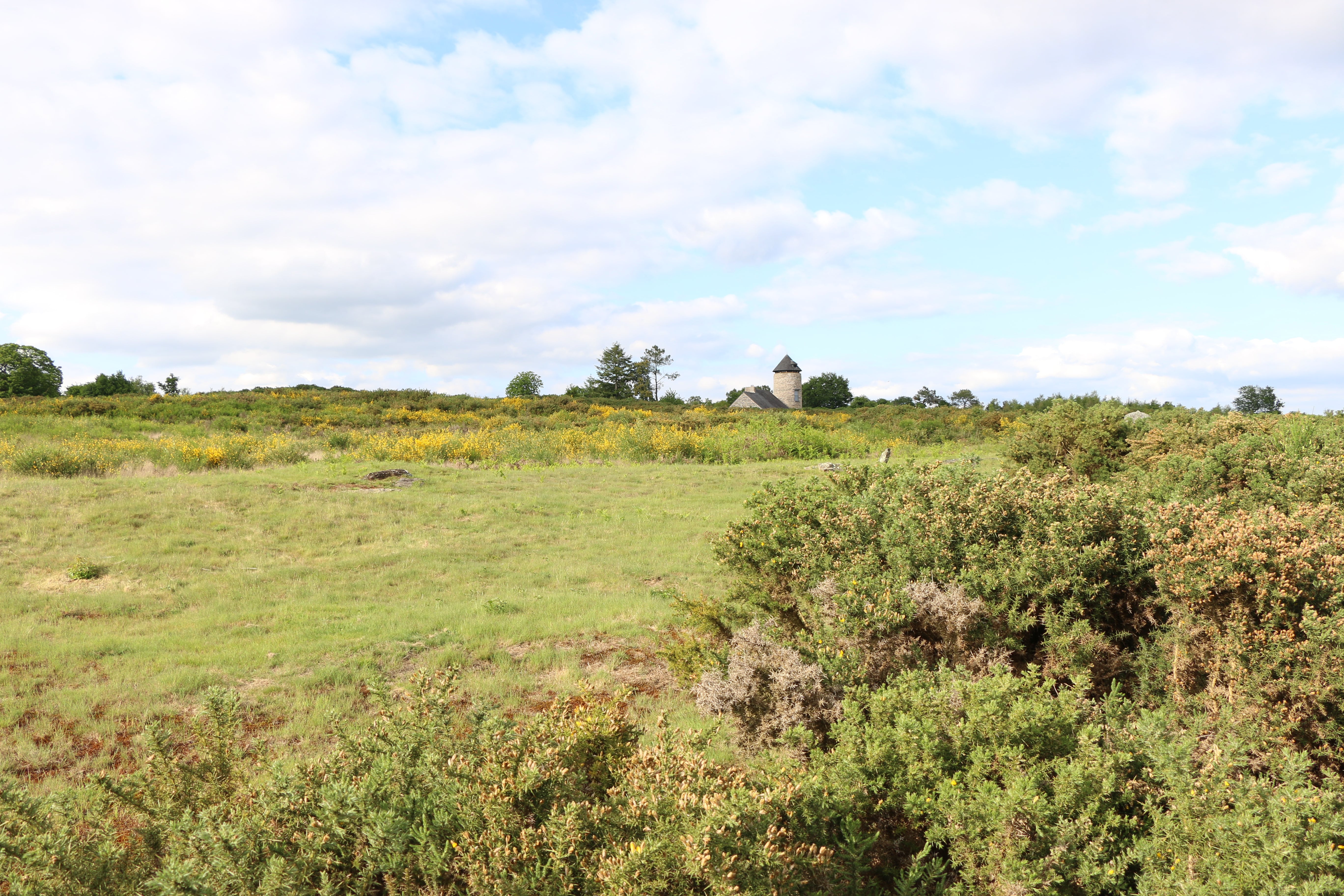 Saint-Juste Landes de Cojoux Tourisme Ille-et-Vilaine