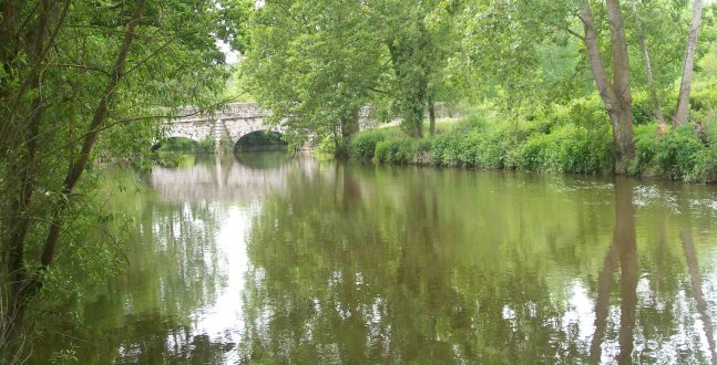 Seiche Rivière Pollution