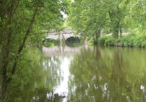 Seiche Rivière Pollution