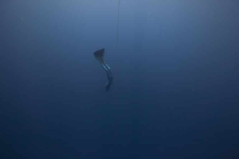 nicolas_girardin_apnee