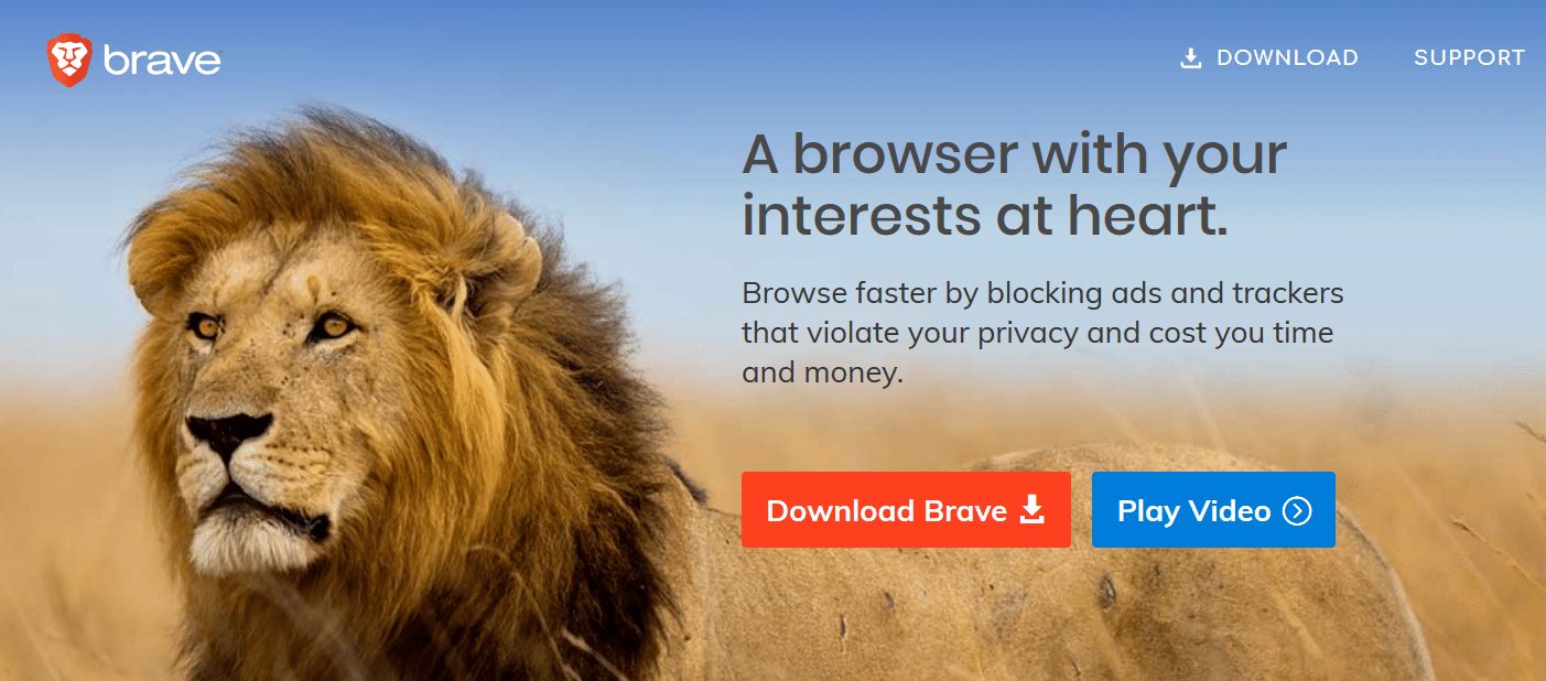 Brave SecurWeb