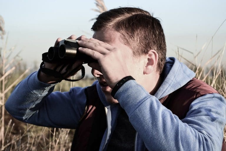 stalking