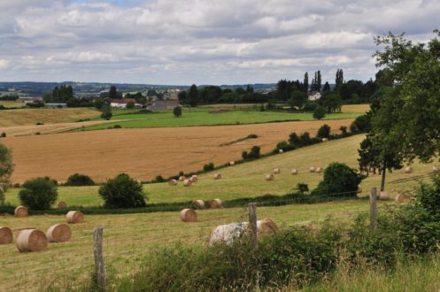 ferme_agriculteur