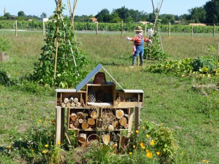 permaculture