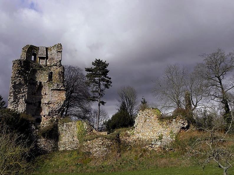 Saint-Aubin-du-Cormier_(35)_Château_03