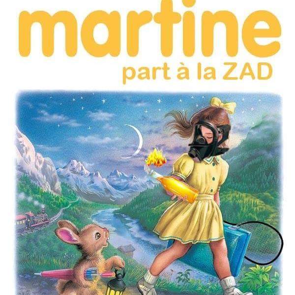 ZAD de Notre-Dame des Landes : nouveaux affrontements entre zadistes et gendarmes