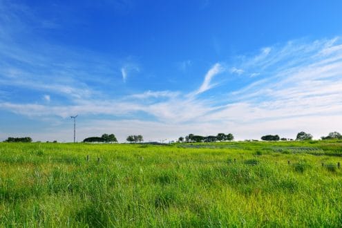 prairies