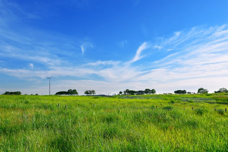 prairies