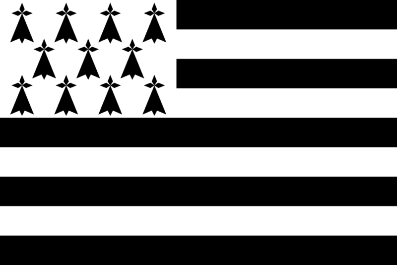 Emoji drapeau breton : plus de 20 000 soutiens mais des géants à convaincre  !