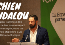 Espagne : Elections en Andalousie. Vox remporte près de 11% des suffrages cien-andalou