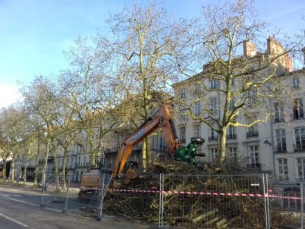 arbres_nantes