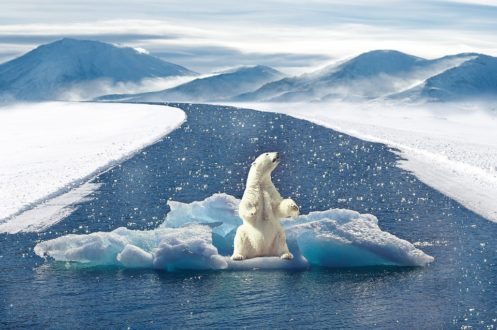 Réchauffement climatique