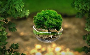 ecologie_populisme