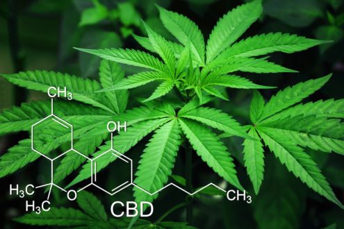 cannabidiol