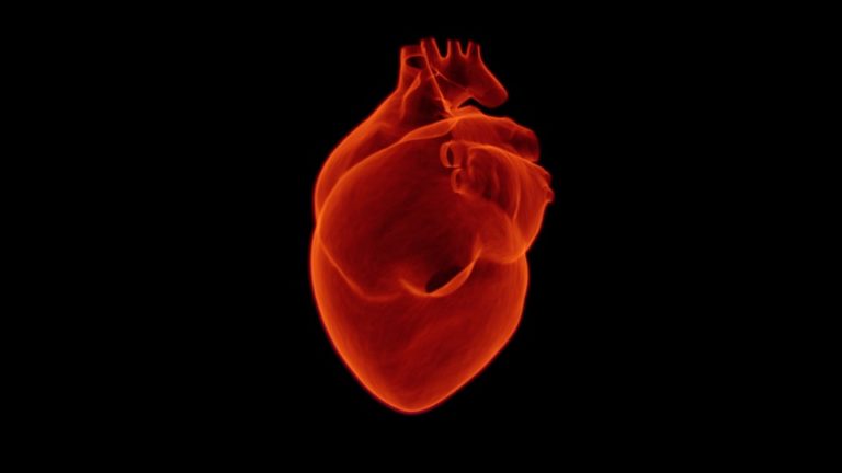Insuffisance cardiaque