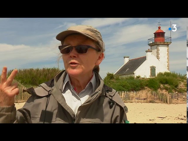 Bretagne Vivante, 60 ans au service de la nature [Vidéo]