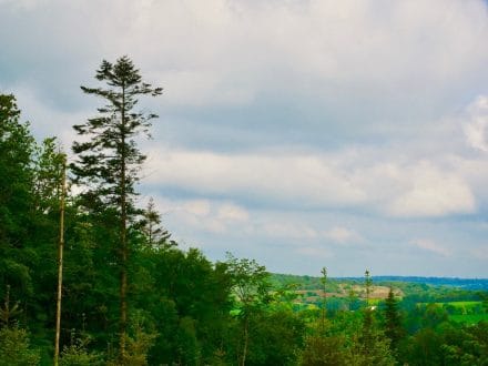 biodiversité