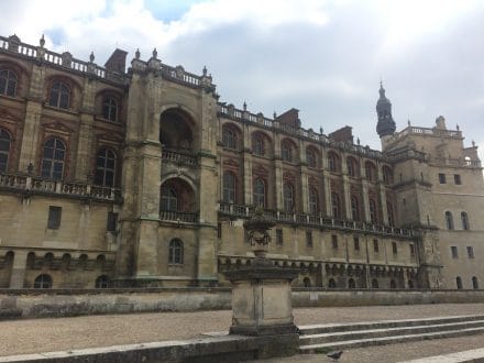 Musée archéologie nationale - Saint-Germain-en-Laye.