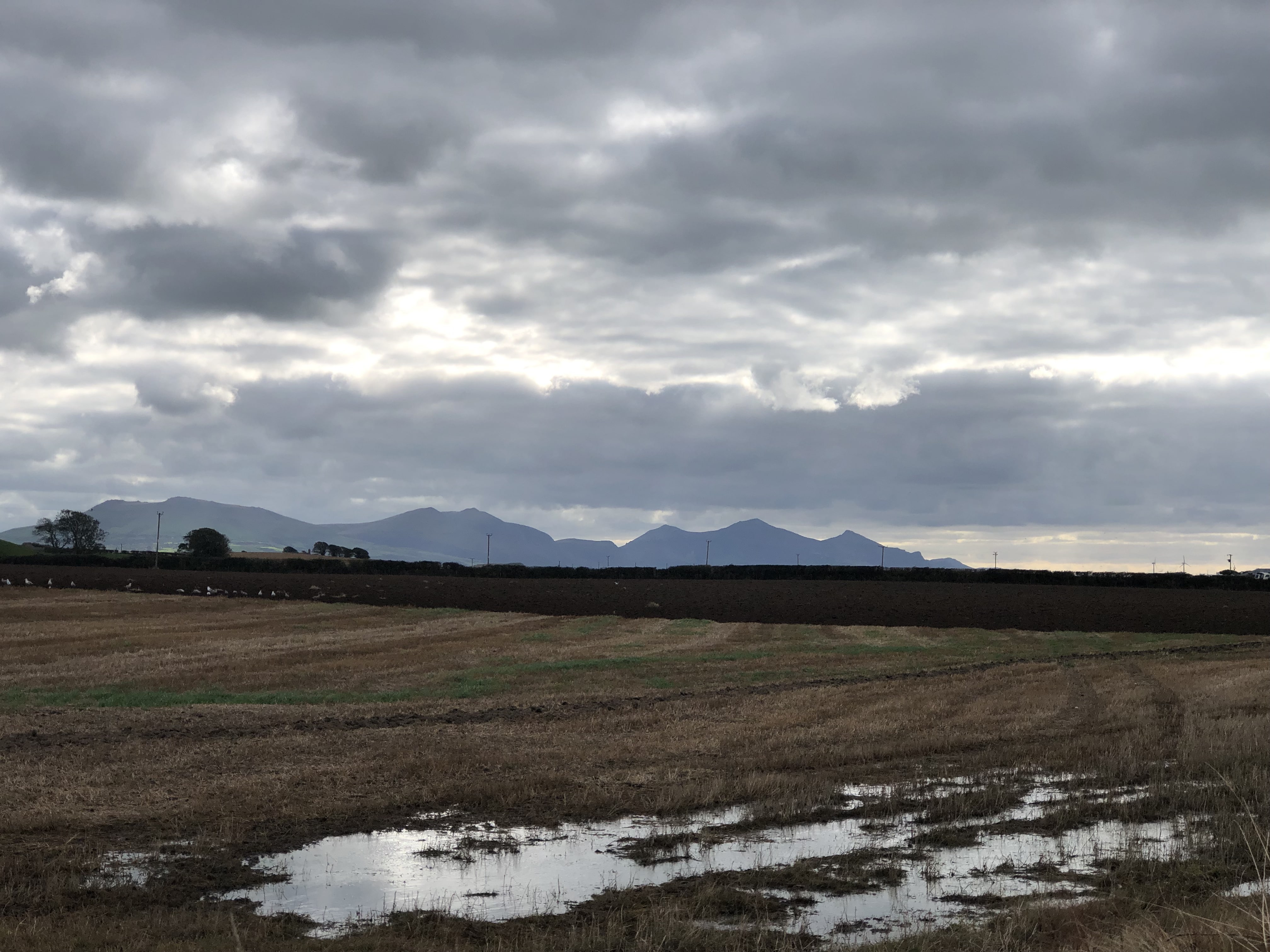 caernarfon_galles