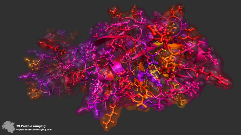 Coronavirus, avertissement des ophtalmologistes: Coronavirus, avertissement des ophtalmologistes: