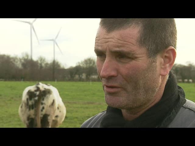 Bretagne. Morts inexpliquées de centaines de vaches près d'installations électriques