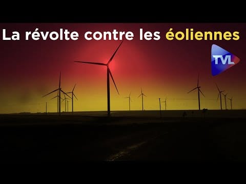 Ecologie. Une enquête sur la révolte contre les éoliennes