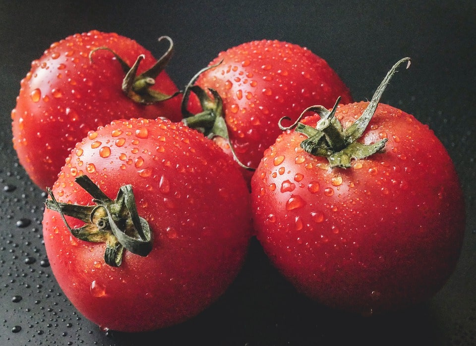 Virus de la tomate. La menace d'une propagation en France du ToBRFV