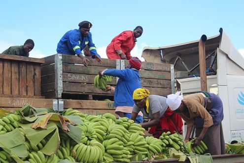 Zimbabwe