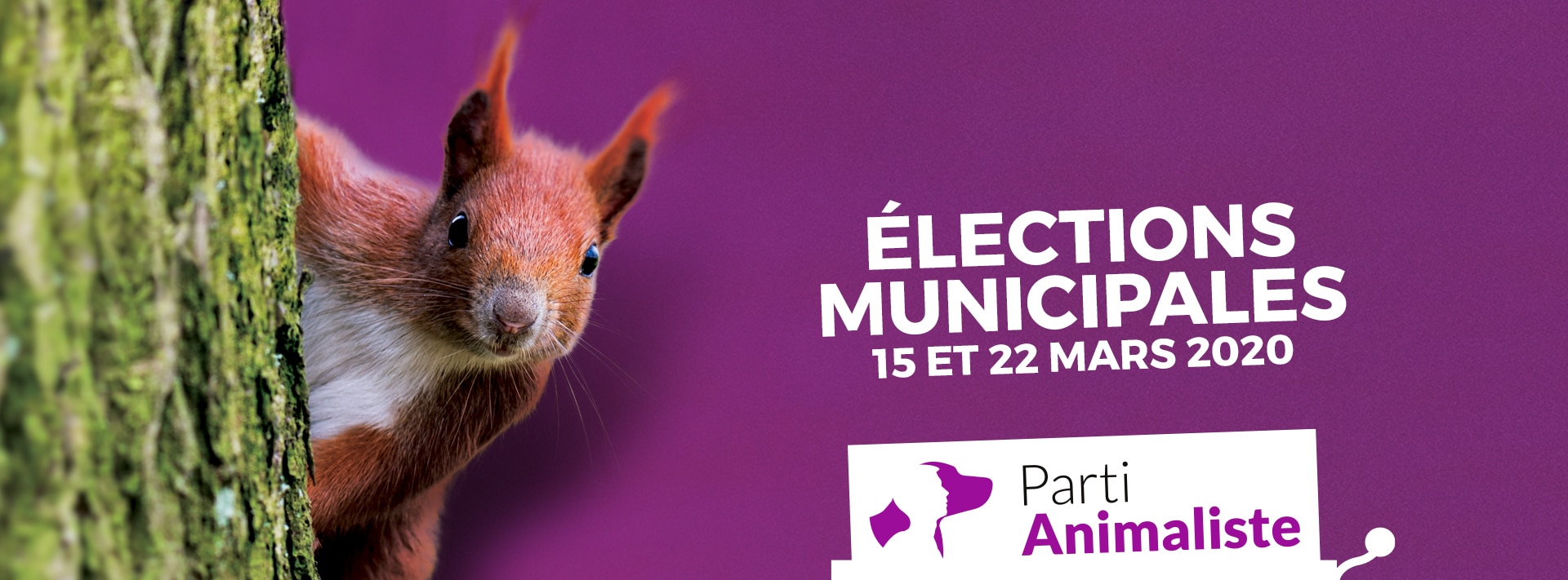 Le Parti animaliste présent dans 40 villes aux élections municipales