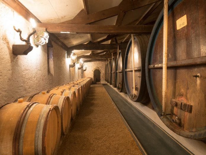 degustation de vin