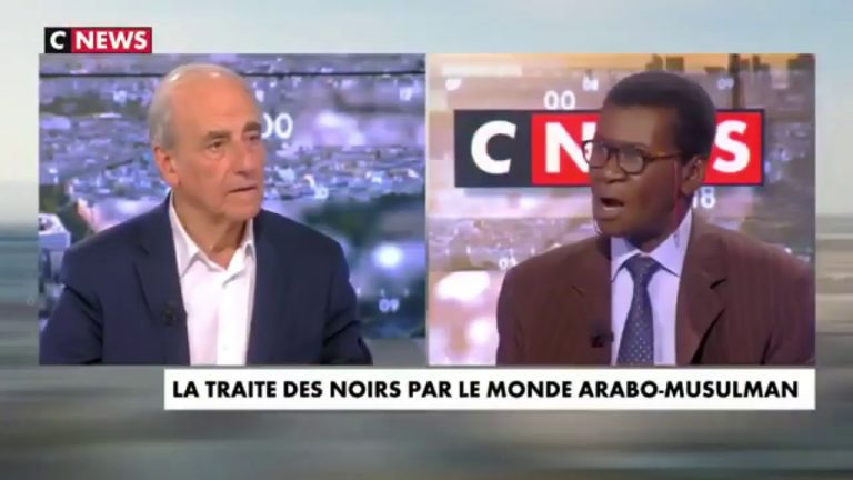 Tidiane N'Diaye sur l'esclavage : « Il ne faut pas oublier la traite  négrière arabo-musulmane ! »