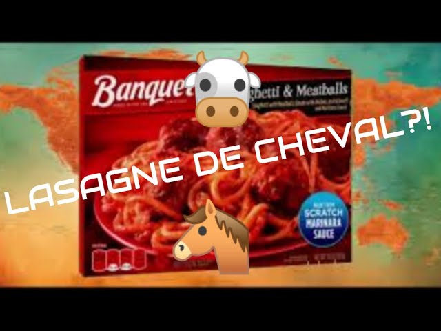 L'affaire des lasagnes de cheval !
